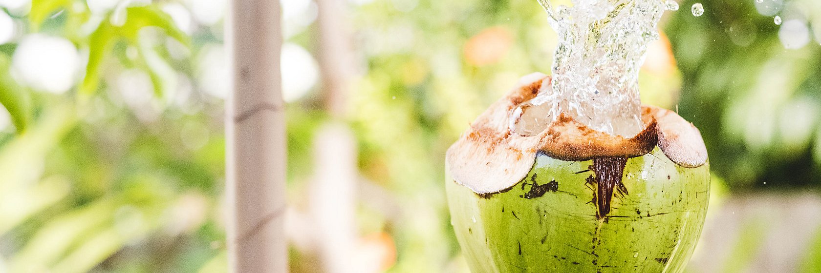 Noix de coco fraîche, eau de coco