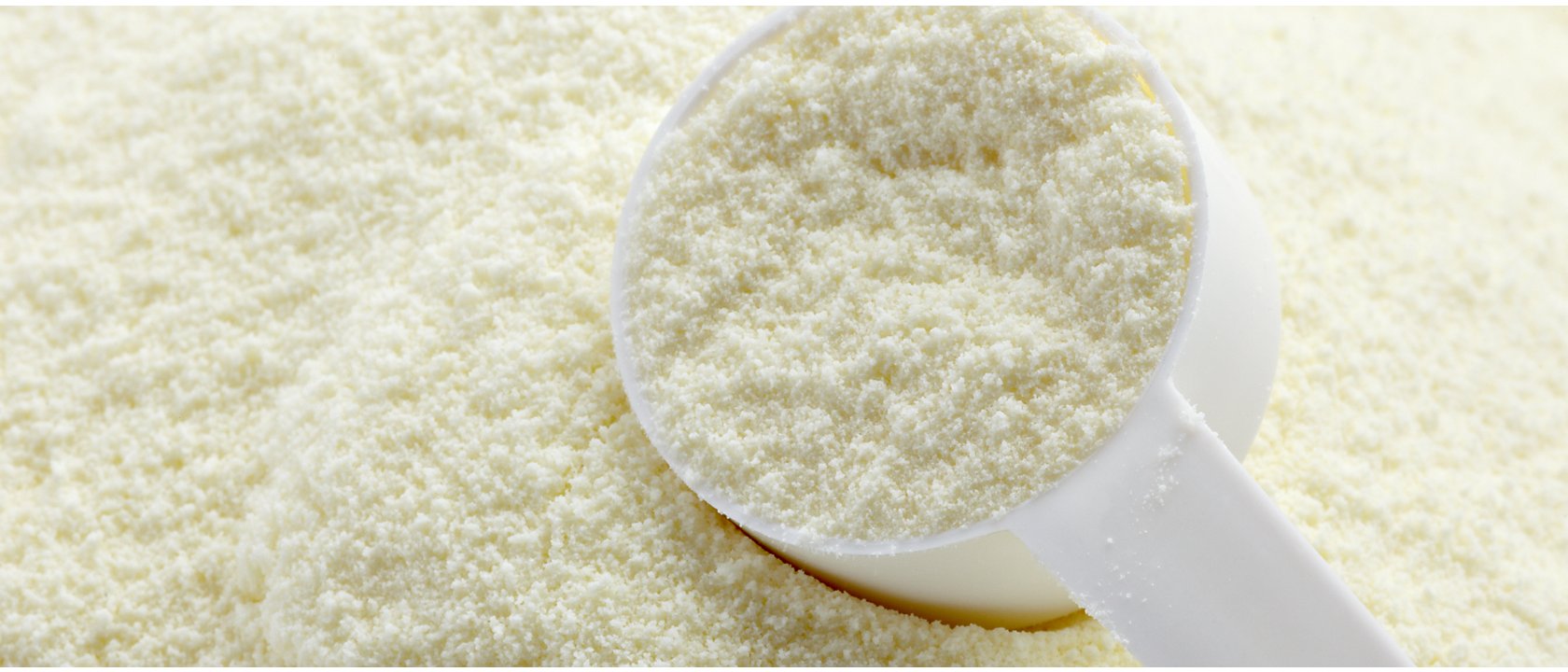 Milk powder